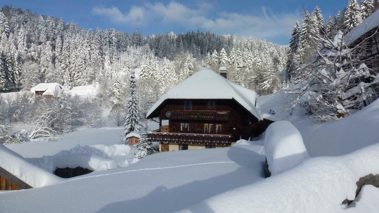 Apartamento Haus Biehler Todtmoos Exterior foto