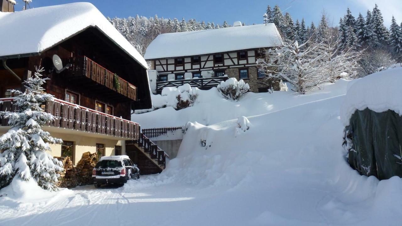 Apartamento Haus Biehler Todtmoos Exterior foto